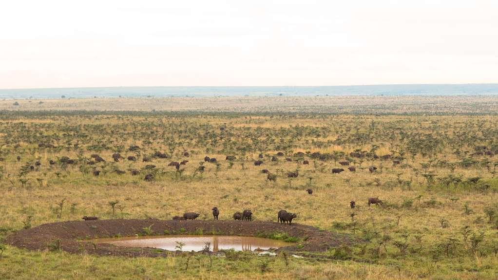 Ole Sereni Nairobi Exterior photo